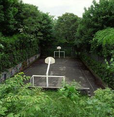 an empty basketball court surrounded by trees and bushes