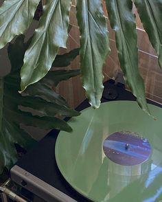 a green record player sitting on top of a table next to a leafy plant