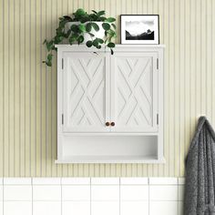 a white cabinet sitting on top of a wall next to a potted green plant