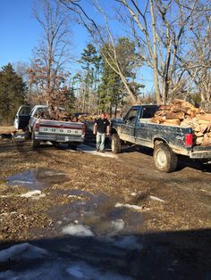 two men standing next to a truck loaded with logs