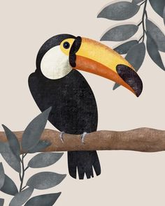 a toucan bird perched on a branch with leaves