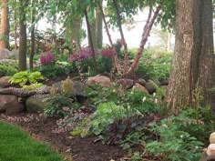 a garden with rocks, plants and trees