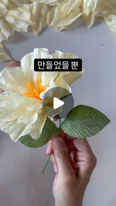 a person holding a flower in their hand with the words hello written in korean on it