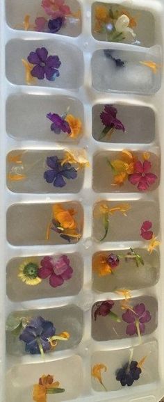 flowers are arranged in small trays on the table for display or to be used as nail art