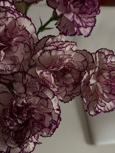 some purple flowers are in a white vase