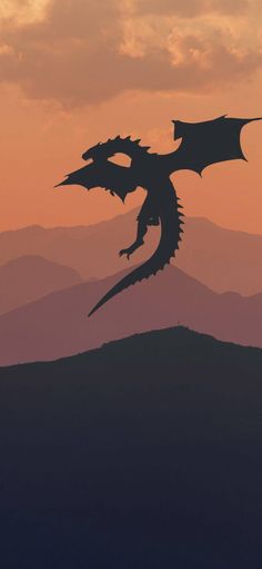 a silhouette of a dragon flying in the sky with mountains in the background at sunset