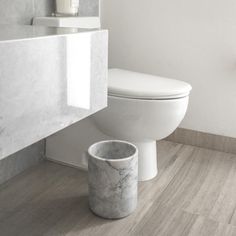 a white toilet sitting next to a bath tub