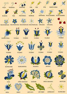 the different types of flowers are shown in blue and yellow colors on a beige background