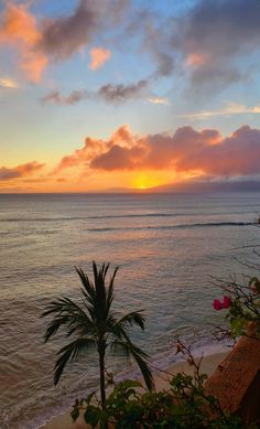 the sun is setting over the ocean with palm trees in foreground and clouds in the background