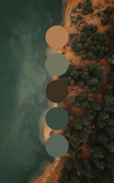 an aerial view of trees and water with four circles in the middle, above them