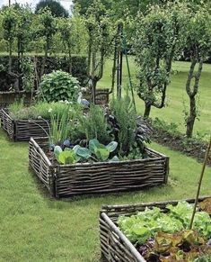 several wooden boxes filled with plants in the grass