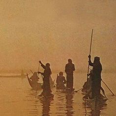 several people in canoes paddling through the water on a foggy day,