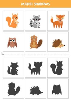 the shadow matching worksheet for children to learn how to draw and paint animals