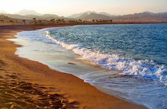 the waves are coming in to the beach with palm trees and mountains in the background