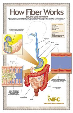 This infographic provides information for fiber. It explains the difference between soluble and insoluble fiber. It also shows how fiber is digested i Smoothies Vegan, Info Board, Daily Exercise, Healthy Advice, Health Blog, Health Info, Nutrition Recipes, Body Health, Healthy Tips