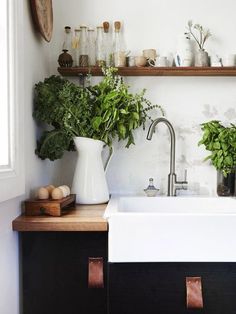 a white sink sitting under a window next to a wooden shelf filled with potted plants