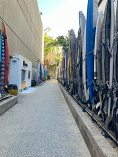 rows of surfboards lined up on the side of a building