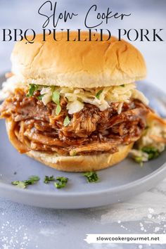 slow cooker bbq pulled pork sandwich on a plate