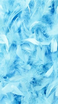 blue and white feathers are scattered together