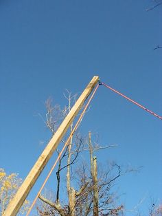 a wooden pole with some trees in the background and a blue sky above it that has no clouds