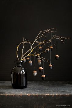 a black vase sitting on top of a table next to a branch with nuts hanging from it