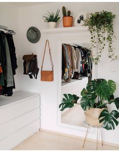 an instagram photo with plants and clothes hanging on the wall next to a mirror