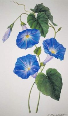 a painting of blue flowers with green leaves