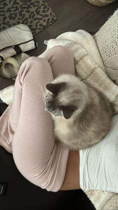 a cat is sitting on top of a woman's leg as she lays down