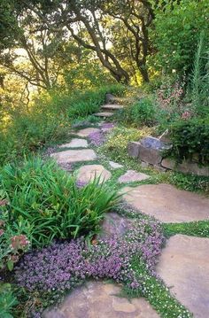 a stone path in the middle of a garden with purple flowers and greenery on both sides