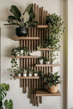 a wall mounted shelf filled with potted plants on top of wooden slatted shelves