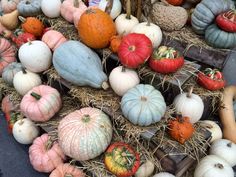 a pile of pumpkins and gourds sitting on hay