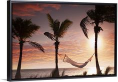 a hammock between two palm trees at sunset