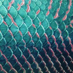 a close up view of the scales of a fish's skin with red and green colors