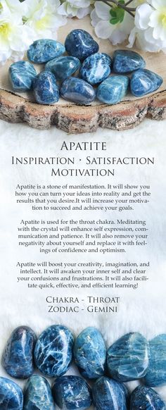 Apatite Meaning, Learning Inspiration, Crystal Store, Apatite Crystal, Crystals Store