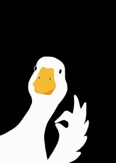 a white duck with yellow beak standing in the dark