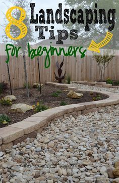 landscaping tips for beginners that are easy to do