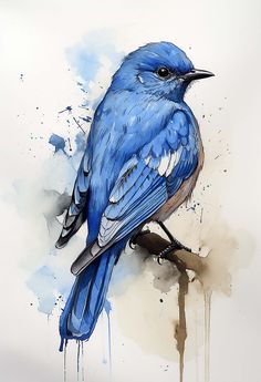 a blue bird sitting on top of a branch with paint splatters around it