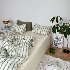 a white couch sitting next to a potted plant