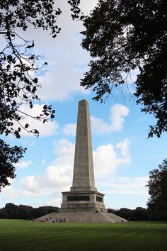 the obelisk stands tall in front of some trees