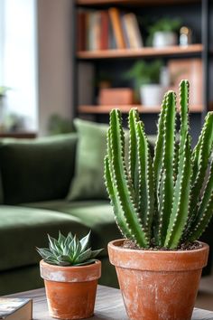 two potted plants sitting on top of a wooden table