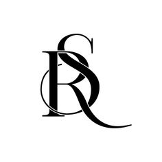 the letter r is made up of curved lines and letters that appear to be intertwined