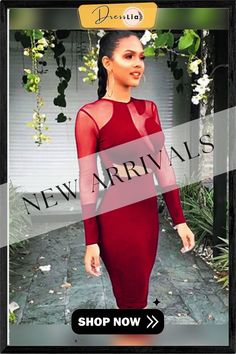 Women's Bodycon Knee Length Dress Black Blue Wine Long Sleeve Solid Colored Round Neck Basic Hot Slim S M L Xl Black Dresses Sheer Dresses For Club, Long Sleeve Sheer Dresses For Going Out, Sheer Long Sleeve Dress For Going Out, Fall Dresses With Mesh Sleeves, Fall Party Knee-length Mesh Dress, Knee-length Mesh Dress With Mesh Sleeves, Red Fitted Mesh Dress, Fall Bodycon Mesh Dress, Black Dresses