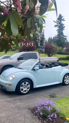 two cars parked next to each other in a parking lot with trees and purple flowers