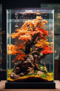 an aquarium filled with lots of colorful trees in it's glass case on top of a wooden table