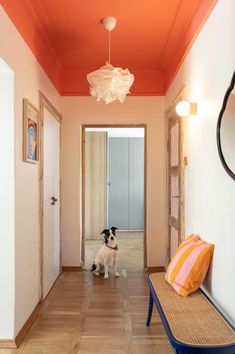 a dog is standing in the hallway next to a bench and lamp hanging from the ceiling