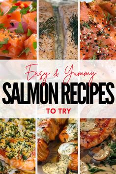 easy and yummy salmon recipes to try