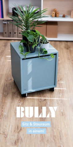 there is a plant on top of a small box in the middle of a room