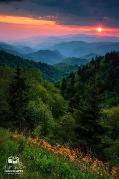 the sun is setting over the mountains in the smoky valley, with wildflowers growing on the hillside