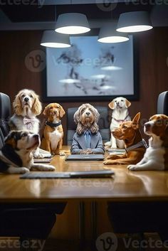 a group of dogs sitting around a conference table