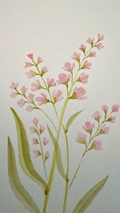 a painting of pink flowers on a white wall